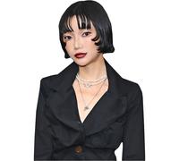 Lin Shiyi (Black Outfit) Half Body Buddy Cutout