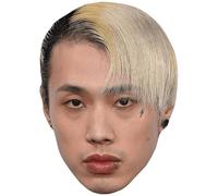 Lin Zhirong (Serious) Big Head