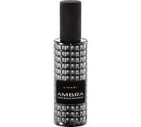 LINARI - Spray per ambienti Ambra grigia Profumatori per ambiente 100 ml unisex