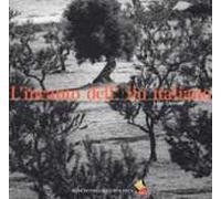 L'incanto dell'olio italiano. Ediz. a colori