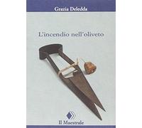 L'incendio nell'oliveto
