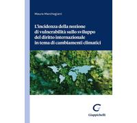 L'incidenza della nozione di vulnerabilità sullo sviluppo del diritto inte...
