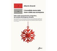 L'incredibile storia della neve e della sua scomparsa. Dalle civiltà mesopotamiche al frigorifero, dai cocktail all'emergenza climatica