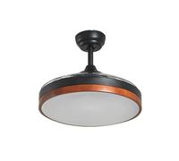 Lindby Ventilatore da Soffitto con Luce, Plafoniera Led Pale a Scomparsa Lampadario Cucina Camera Letto Moderno 3 Richiudibili Ø107 Nero