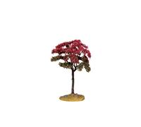 Linden Tree, Small Cod. 44802