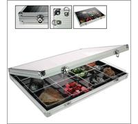 SAFE 5877 Vetrina Da Collezione Scomparti 45 36x49x43mm Formato 395x300x45mm