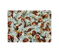 Lindor Cioccolatini al gusto TIRAMISU, Confezione da 1000 g, Praline Sfuse