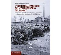 L'industrializzazione del comprensorio Vajont. Intervento speciale, ricostruzione economica e sviluppo dopo la catastrofe (1963-2000)