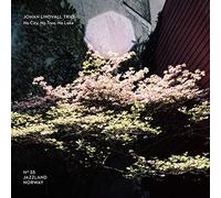 Johan Lindvall Trio No City, No Trees, No Lake (CD) Album