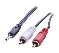 LINDY Cavo audio LINDY 35682 - jack stereo da 3,5 mm a 2 x RCA maschio, 3,0 m