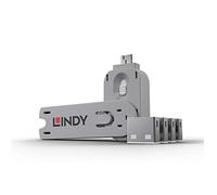 Lindy 40454 Serrature per Porte USB (4 serrature e 1 chiave), Grigio