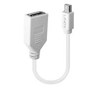 Lindy 41021 cavo DisplayPort 0,15 m Mini DisplayPort Bianco
