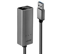 Lindy 43313 adattatore per inversione del genere dei cavi USB-A RJ-45 Argento