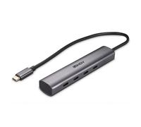 Lindy 43384 hub di interfaccia USB tipo-C 10000 Mbit/s Grigio