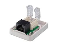 LINDY 60175 Scatola per montaggio superficiale CAT6 senza attrezzi (utilizzare con cavo CAT6 22-26 AWG)