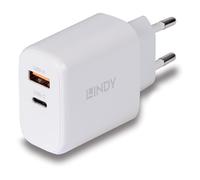 Lindy alimentatore gan usb tipo a c, 65w