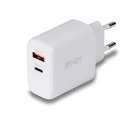 Lindy 73428 Alimentatore GaN USB Tipo A & C, 65W
