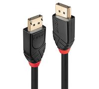 Lindy 41078 Cavo DisplayPort 10 m Nero - Nouvo