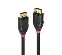 Lindy Cavo DisplayPort 1.2 Ibrido in Fibra Ottica, 15m