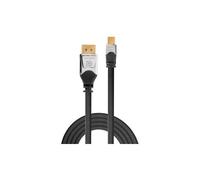 Lindy Cromo 1 M Displayport/Mini Displayport Grigio