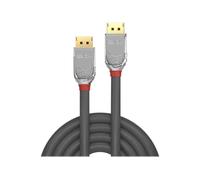 Lindy DisplayPort 1.2 Kabel Cromo Line Cavo Digitale/display/video 5 m 36304