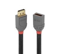 Lindy Cavo DisplayPort 36496 – DisplayPort 1.4, 8K/60 Hz, 1,0 m