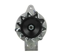 BV PSH 136.025.020.140 Alternatore