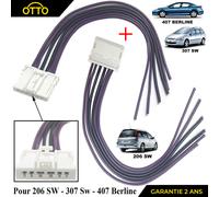 Line Fascio Placchetta Fanale Luci Posteriori Sinistra Destra per 206 307 Sw HDI