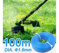 Linea del trimmer di erba professionale 1,6 mm accessori 2 rotoli per