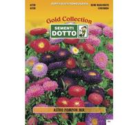 Linea Fiori Gold ASTRO Pompon in mix - h cm 60