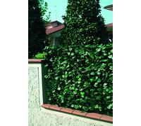 Linea Garden Friend Recinzione in PVC c/Foglie Lauro più Rete ombreggiante 1x3