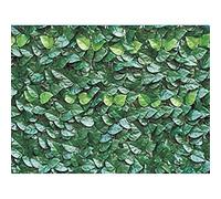 Linea Garden Friend Recinzione PVC Altezza 100 cm, Lunghezza 300 cm con Foglie Lauro