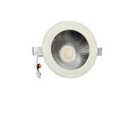 LINEA LIGHT FARETTO INCASSO 96813W90 COB20-R 5 D197 30WDC IP20 CRI80 BG