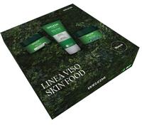 LINEA VISO SKIN FOOD