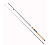Lineaeffe Basic 20-55 g 2.10 m 20-55 g Canna da Pesca a Spinning Ideale per Tutti i Pesci Predatori Sia in Mare Che Fiume e Lago
