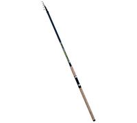 Lineaeffe Canna da Pesca Allway 4.20 m 70 g Inglese da Lancio a Sezioni Separate Ideale Sia per Il Mare Lago Fiume