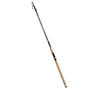 Lineaeffe Canna da Pesca Toro 4 m Up to 60 g Inglese da Lancio a Sezioni Separate Ideale Sia per Il Mare Lago Fiume