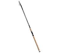 Lineaeffe Canna da Pesca Toro 4 m Up to 80 g Inglese da Lancio a Sezioni Separate Ideale Sia per Il Mare Lago Fiume