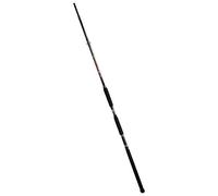 Lineaeffe Carborex Monster Cat 3.05 m up to 400 g Canna da Pesca per Siluro Storione Pesce Gatti Potente e Precisa nella Ferrata