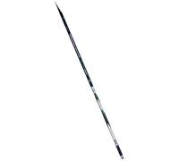 Lineaeffe Standard Master Pole 6 m 5-25 g Canna da Pesca Fissa