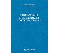 Lineamenti del giudizio costituzionale