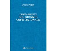 Lineamenti del giudizio costituzionale