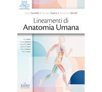Lineamenti di anatomia umana