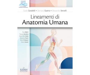 Lineamenti di anatomia umana