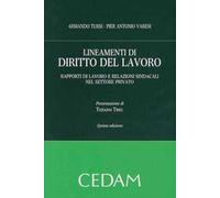Lineamenti di diritto del lavoro. Rapporti di lavoro e relazioni sindacali nel settore privato