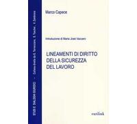 Lineamenti di diritto della sicurezza del lavoro