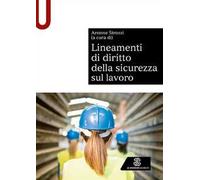 Lineamenti di diritto della sicurezza sul lavoro