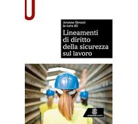 Lineamenti di diritto della sicurezza sul lavoro