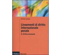 Lineamenti di diritto internazionale penale. Vol. 2: Diritto processuale.