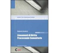 Lineamenti di diritto processuale comunitario